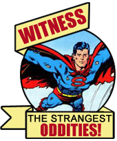 Bizarre ODDITIES!